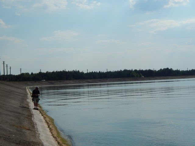 Печенізький окунь