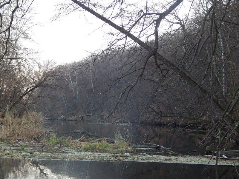 У листопаді (закінчення)