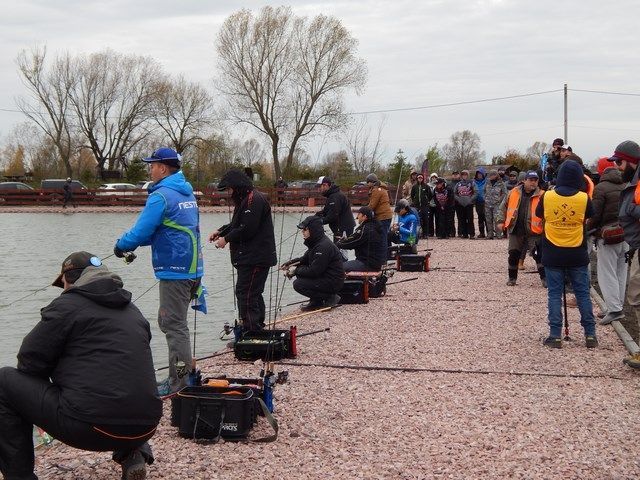 Trout Cup.