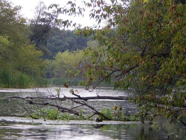 З воблерами на осінній річці
