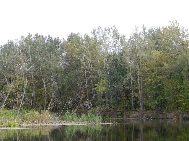 Щука, річка та глибока вода. Твістери та злаки