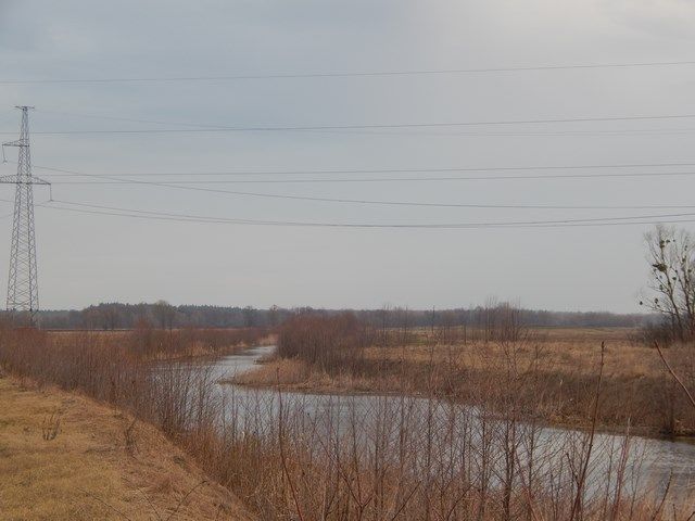 Мартовский твичинг