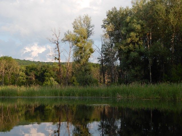 Карнавал
