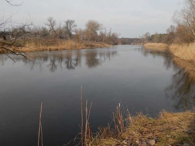 На Сіверський Донець