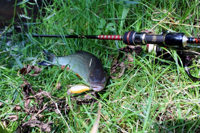 Megabass Shoreluck LTD SLL-68ULT