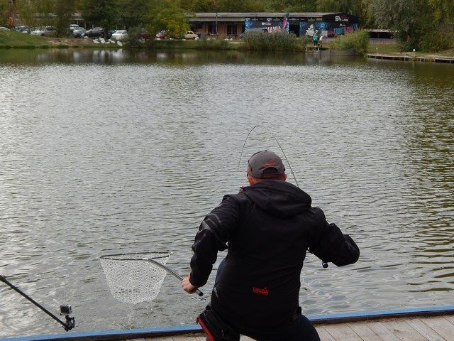 Troutmania