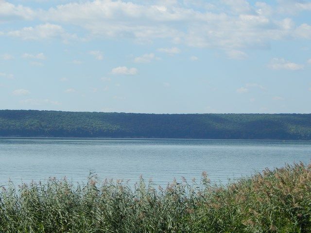 Печеніги та Артемівка