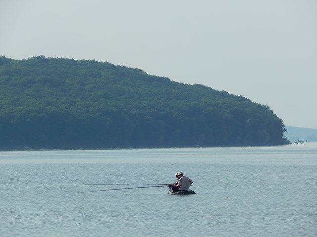 Печенізький окунь