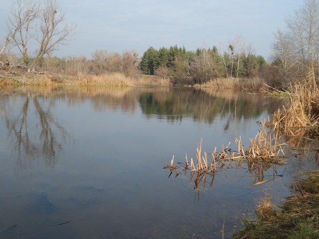 На Сіверський Донець