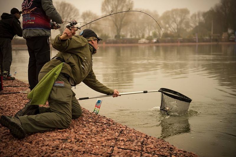 Trout Cup.
