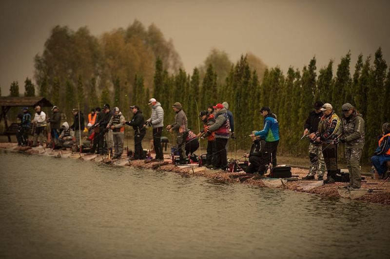 Trout Cup.