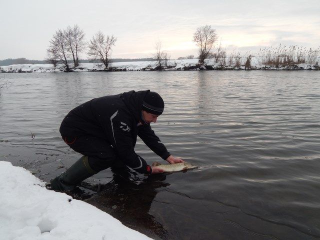 FishingStock на Сіверському Дінці