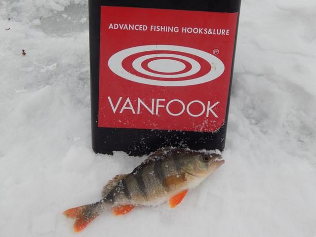 Мартовский окунь (глазами участника «FishingStock Team»)