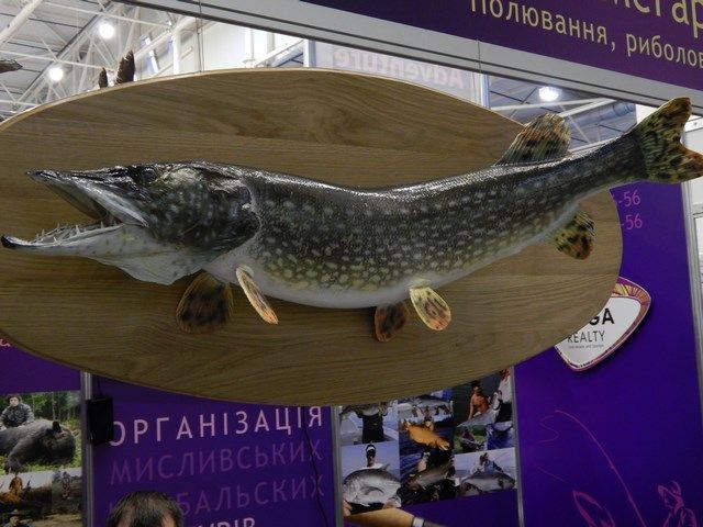 Виставка 17–20.03.16. Риболовля. Полювання. Туризм