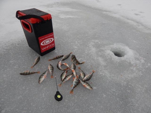 Мартовский окунь (глазами участника «FishingStock Team»)