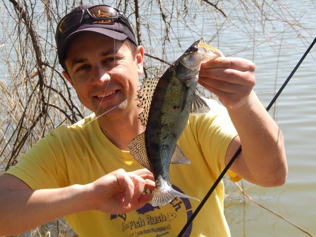 За судаком із двома грамами