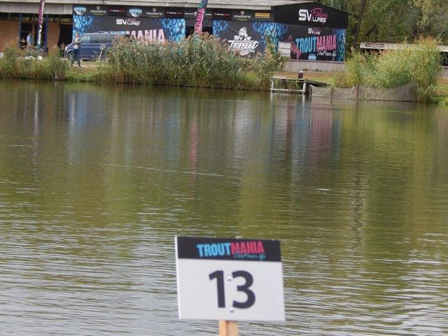 Troutmania