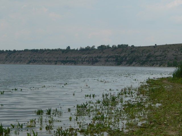 Дністер. Кубок України 2016