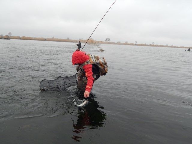 На охолоджувачі