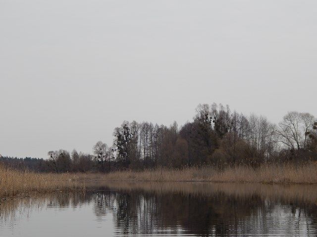 Скористатися шансом