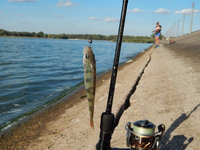 Окунь із греблі. 16 порад із практики