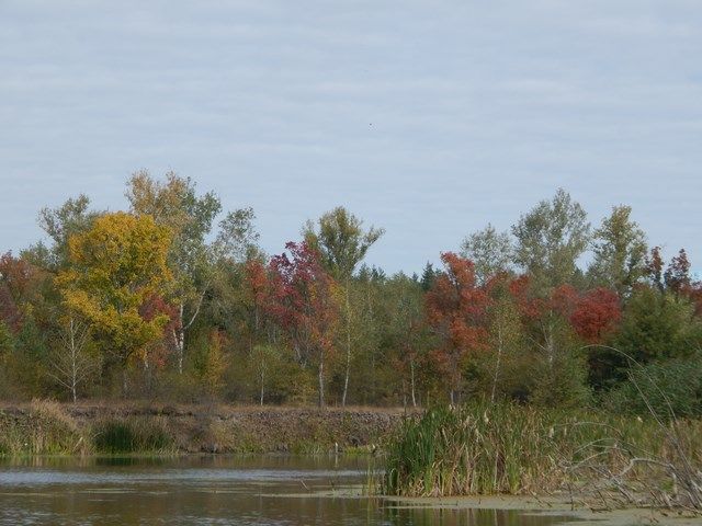 Ще по-літньому
