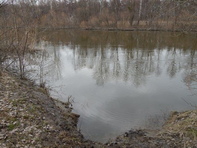 На Пслі