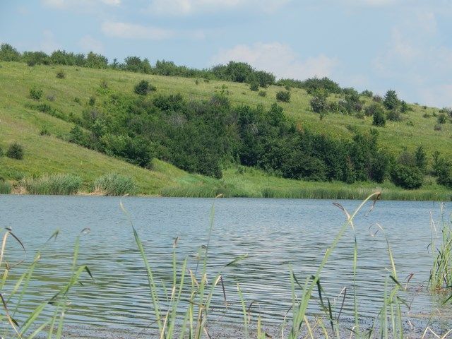 Василівська Пустош