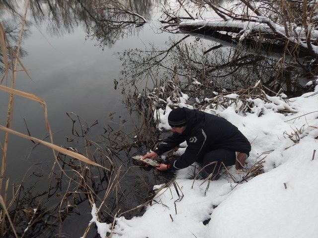FishingStock на Сіверському Дінці