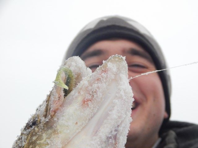 FishingStock на Сіверському Дінці
