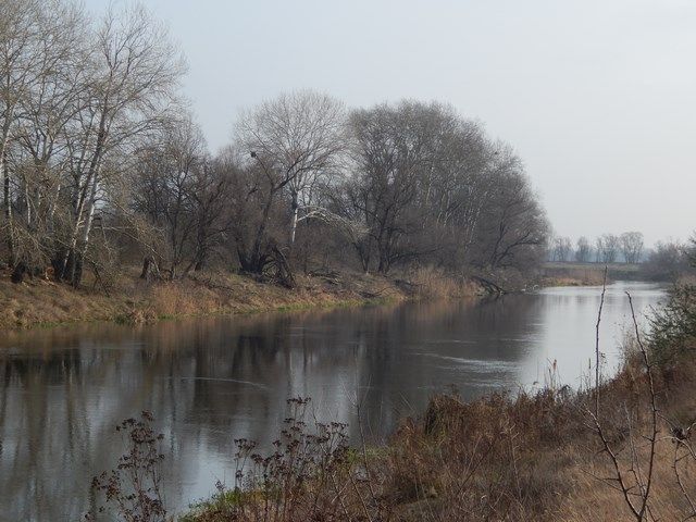 На Сіверський Донець