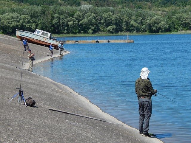 Оскол 2017