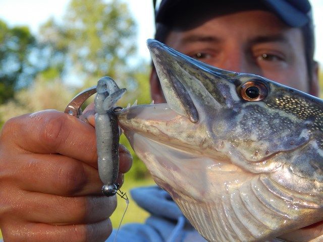 BAIT BREATH T.T. Shad нові розміри