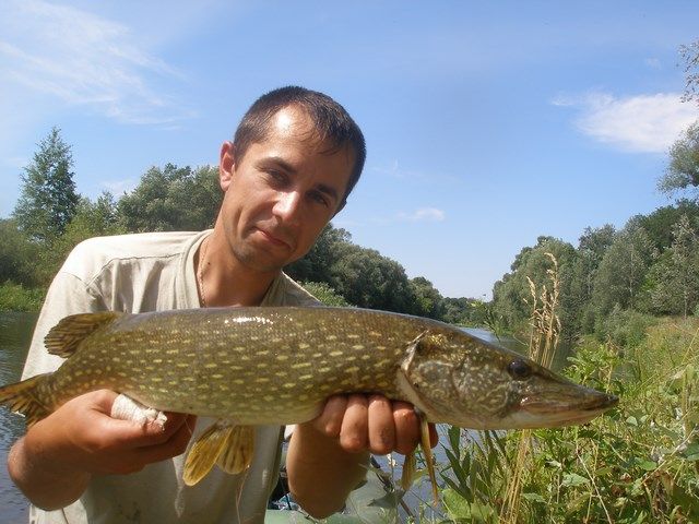 Про рідне