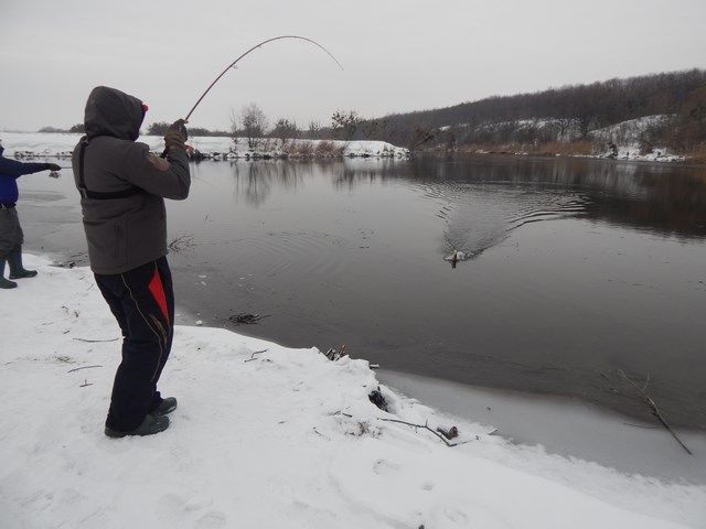 FishingStock на Сіверському Дінці