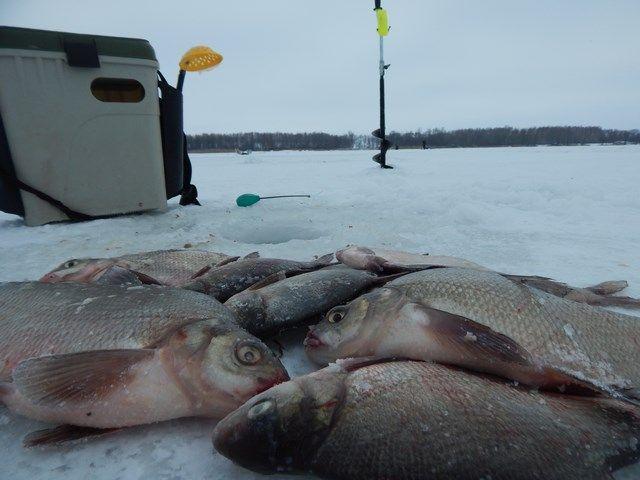 Ловля леща в марте: секреты и особенности рыбалки