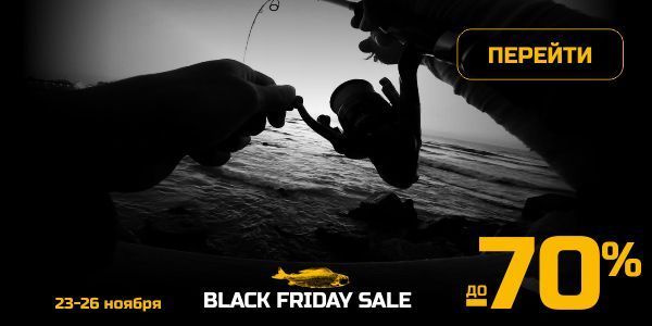 Black Friday Sale до -70%