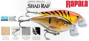 Воблер Rapala Shad Rap SR09F (9 см, 15 гр, 2,4 - 4.5 м) - магазин Fishingstock