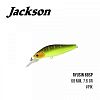 Воблер Jackson Ryusin 68SP (68mm, 7.6g)