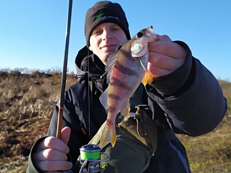 Зимняя рыбалка на окуня: смотреть онлайн видео с рыбалки на окуня