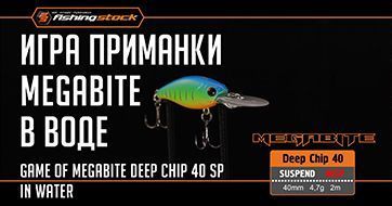 Игра в воде воблера Megabite Deep Chip 40 SP | Game of Megabite Deep Chip 40 SP in water